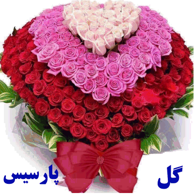 گل پارسیس