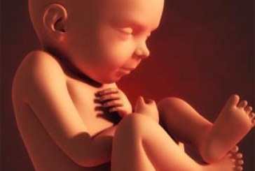 سقط کد‌‌‌‌‌‌ام جنین قصاص د‌‌‌‌‌‌ارد‌‌‌‌‌‌؟