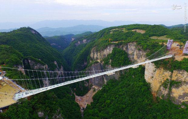 عکس/ طولانی ترین و بلندترین  پل شیشه ای جهان در چین