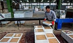 خبرگزاری فارس: کارخانه کاشی طوس فعالیت خود را از سر گرفت