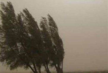 سرعت وزش باد در مشهد به 40 کیلومتر در ساعت رسید/ وزش باد تا یکشنبه ادامه دارد
