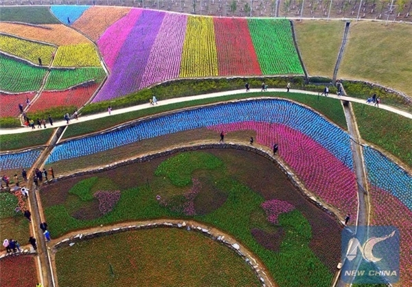   اخبارگوناگون ,خبرهای گوناگون ,جشنواره گل‌های لاله در چین