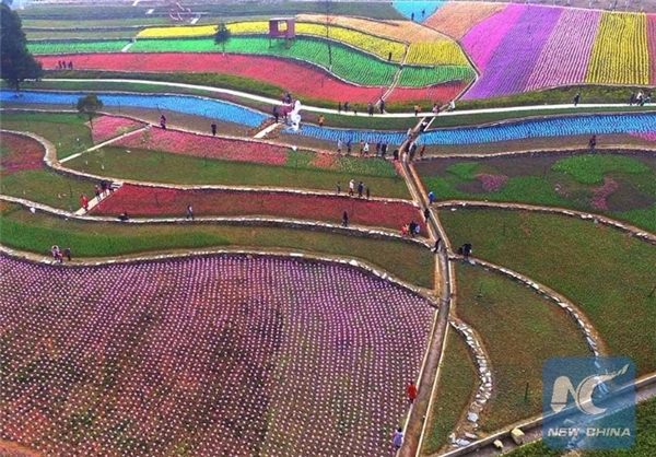   اخبارگوناگون ,خبرهای گوناگون ,جشنواره گل‌های لاله در چین
